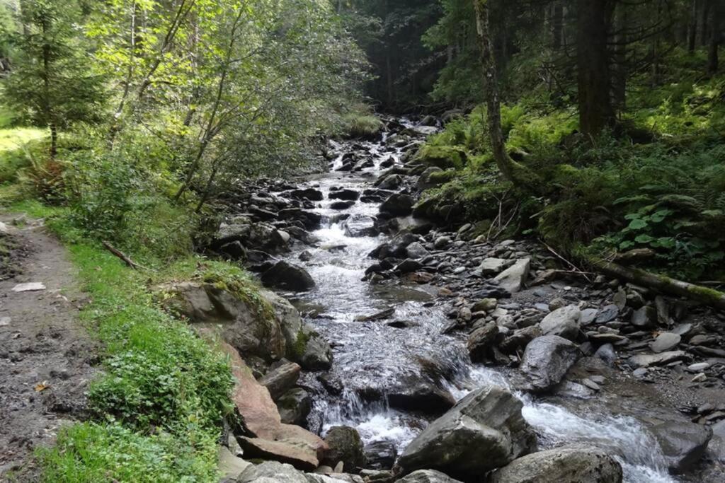 Ferienwohnung Mörsbachblick Donnersbachwald Exterior foto