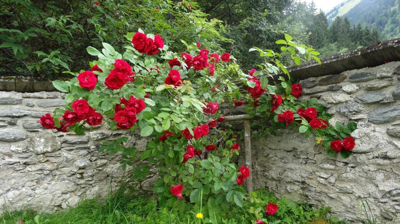 Ferienwohnung Mörsbachblick Donnersbachwald Exterior foto